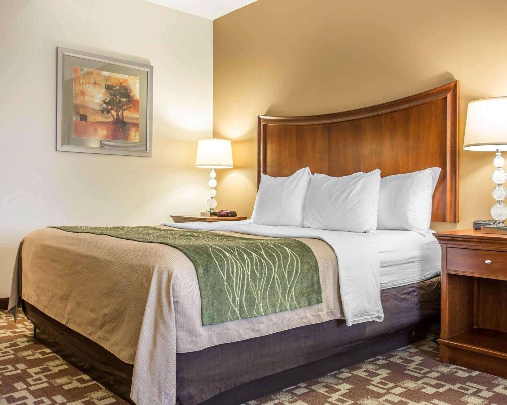 Comfort Inn & Suites Orangeburg Eksteriør bilde
