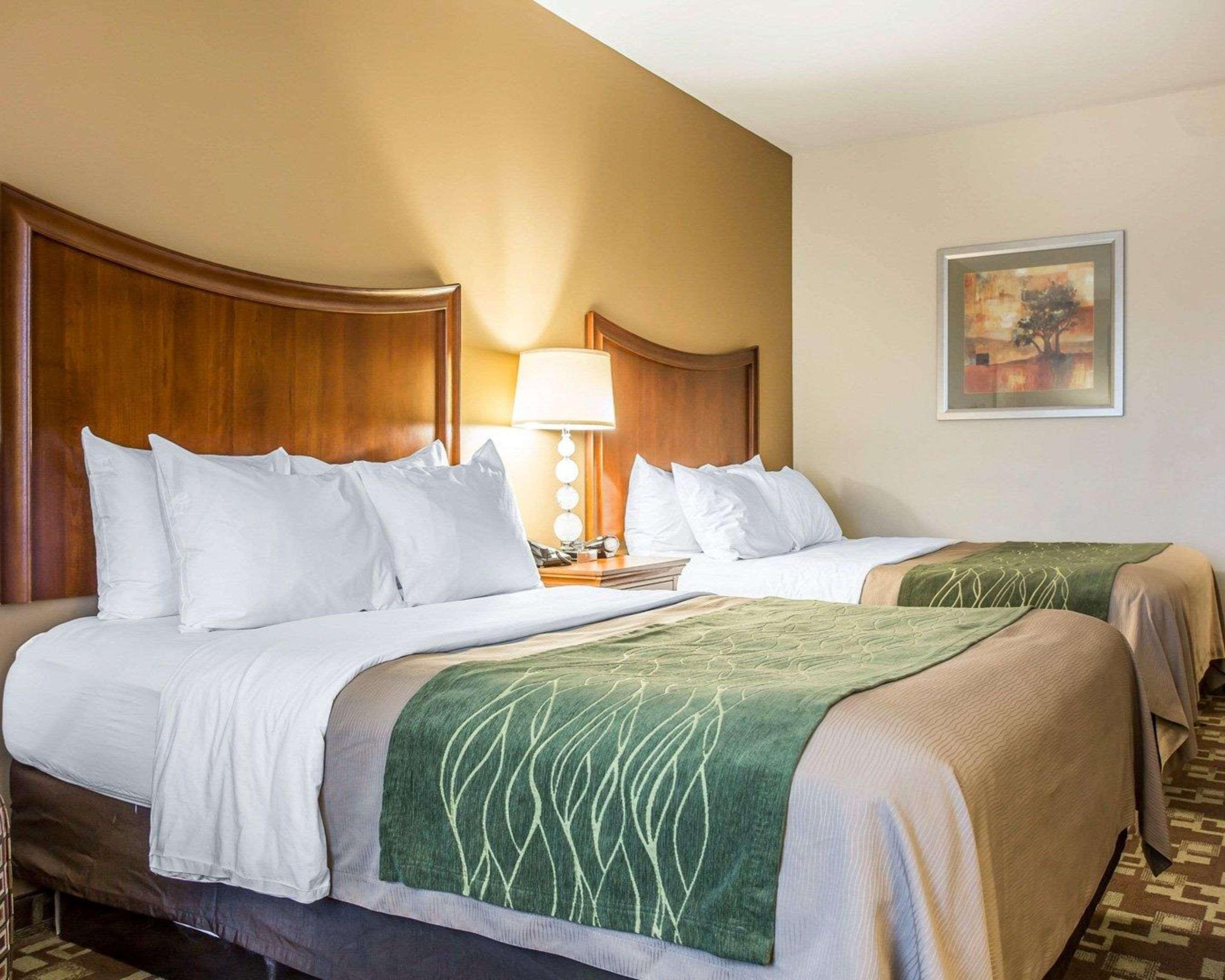 Comfort Inn & Suites Orangeburg Eksteriør bilde